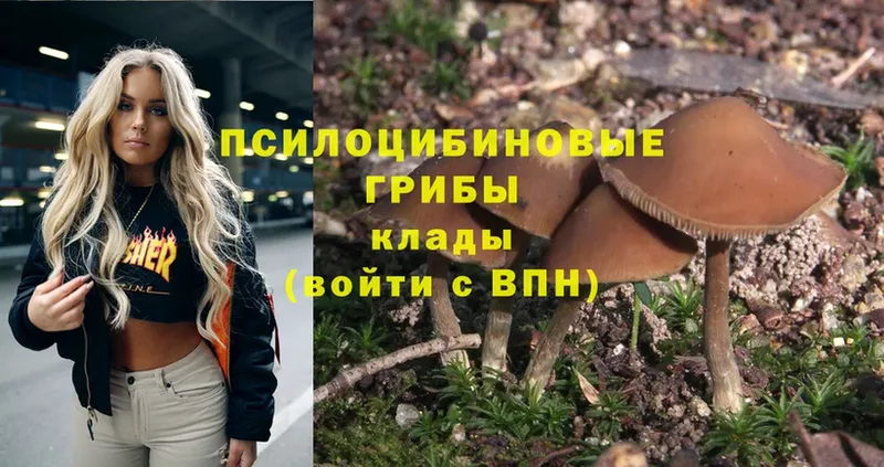 купить  цена  Исилькуль  мега ССЫЛКА  Псилоцибиновые грибы Psilocybe 